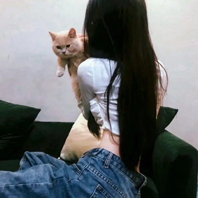 热铁皮屋顶上的猫 封面