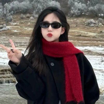 芬妮与亚历山大 封面